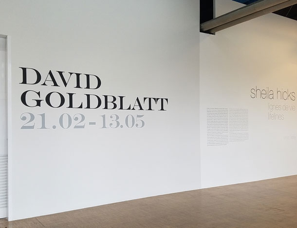 goldblattt-site-2